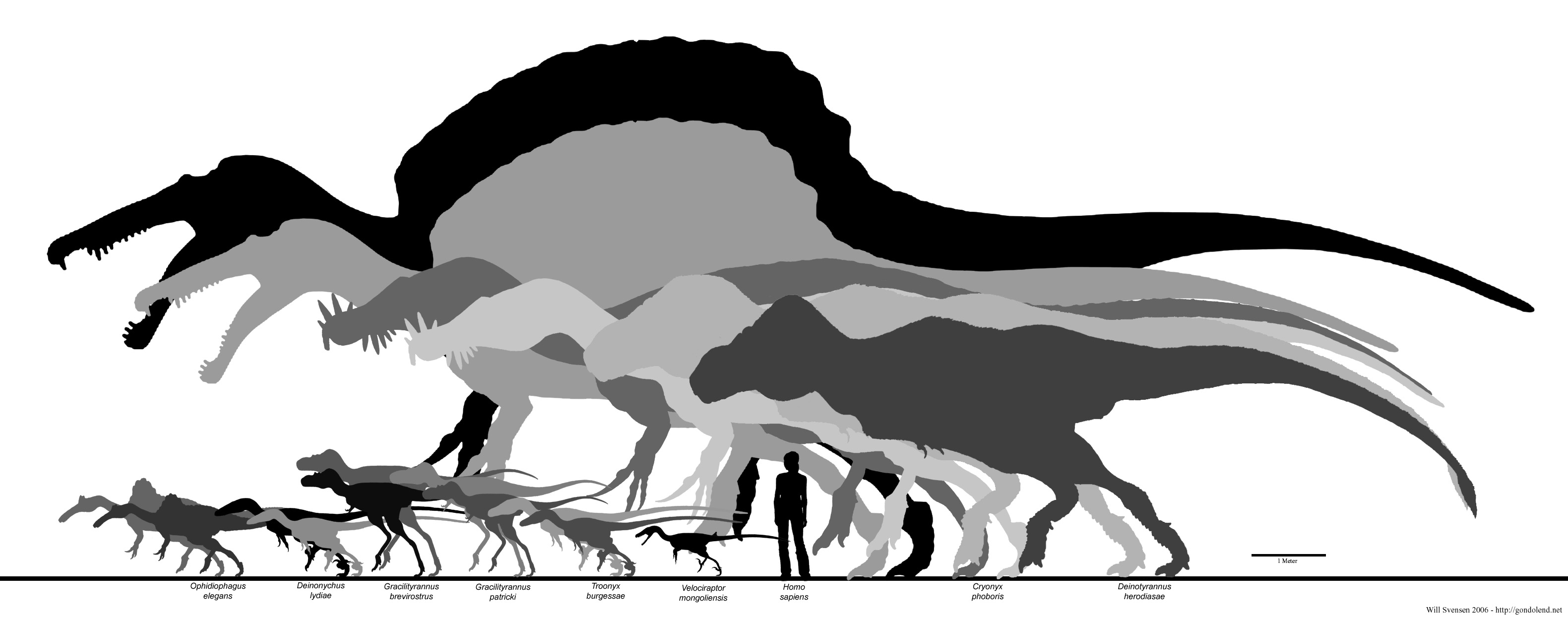 types of dinosaurs spinosaurus