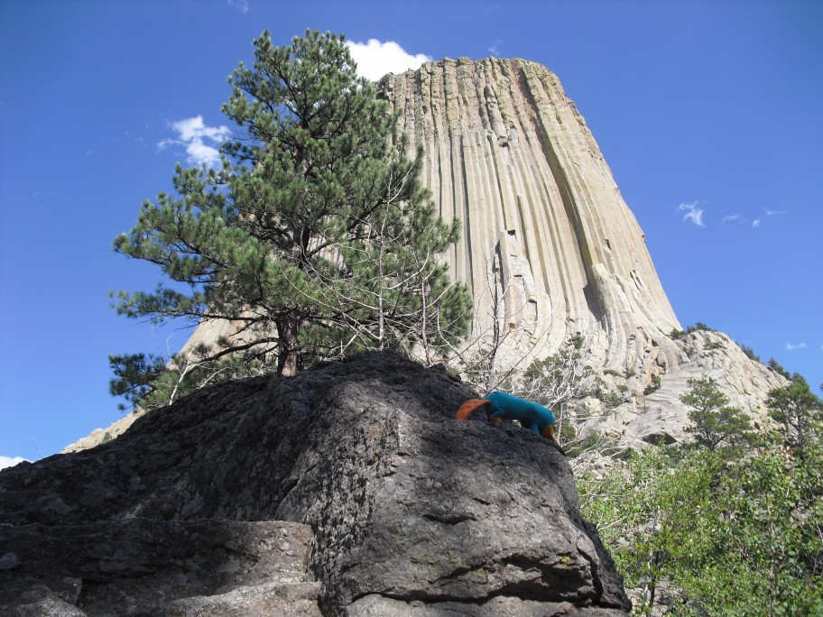 Devils+tower+wyoming+wikipedia