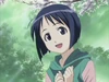 Shinobu Maehara