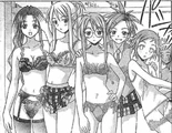 Mahou-sensei-negima-336334