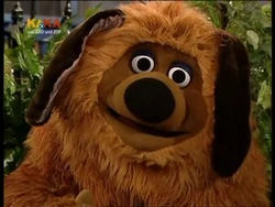 Samsondog