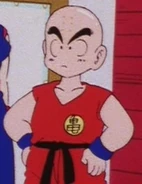 Krillin12