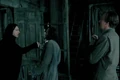 Snapesiriuslupin.png
