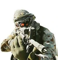 SAs