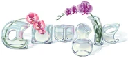 Google Mother's Day (USA)