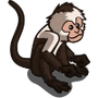White Face Spider-Monkey-icon