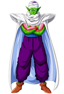 Piccolo Trans.png