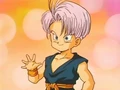 Trunks photo