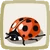 Icon Ladybug