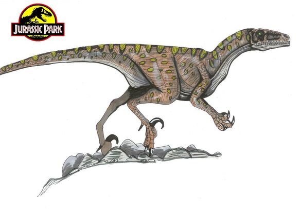 Jurassic Park Deinonychus by hellraptor.jpg