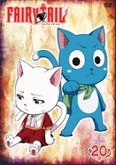 FT DVD20