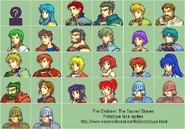 ProtofaceFE8