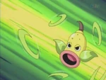 EP263 Weepinbell de james usando hoja afilada