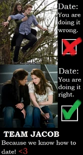 Edward-bella-tree