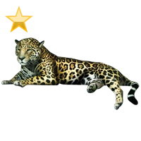 Huge item TintosJaguar gold 01.png