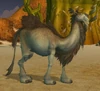 LadyHumpsTAN