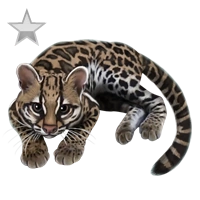 Huge item margay silver 01.png