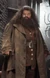 Hagrid