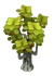 Api Tree
