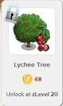 Lychee Tree Rewardville locked