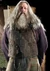 AberforthDumbledore