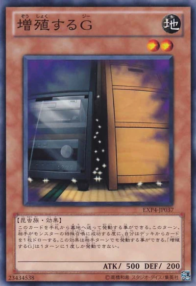 MaxxC-EXP4-JP-NR.jpg