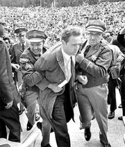 Mario-savio-greek