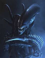 Xenomorph