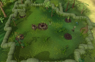 Herblore Habitat centre camp