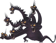 Hydra