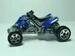 Sand Stinger CIMG1208