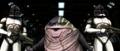 Ziro released.jpg