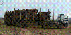 Timber hauling.png (9 KB) Timber hauling