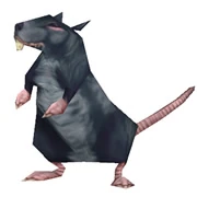Sewer rat.jpg