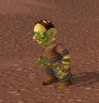 Image of Crazed Gnome