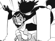 Iris Adventures