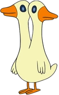 Two-Headed Ducks