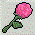 Pink Rose