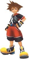 Sora DDD