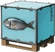 Fish Pallet