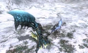 MH3G Baggi Confirmed