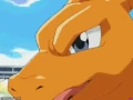 Blastoise Troll.gif