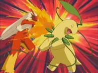 EP273 Blaziken usando puño fuego