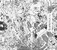 XW-15 26-27 1.jpg