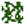 Vine