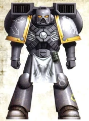 VeteranRavenGuardAssaultMarine