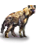 Hyena