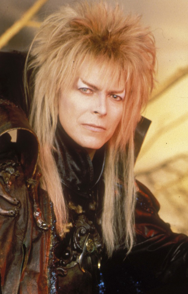 Jareth the Goblin King Labyrinth Wiki