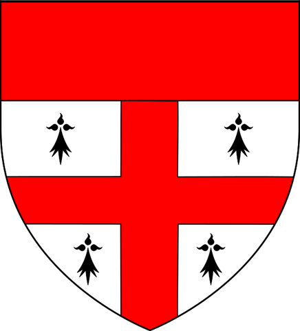 File:Argent-cross-gules-erminespots4-sable-chief-gules.svg
