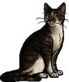 Swiftbreeze.warrior
